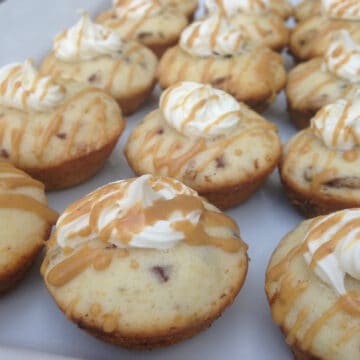 mini peanut butter muffins