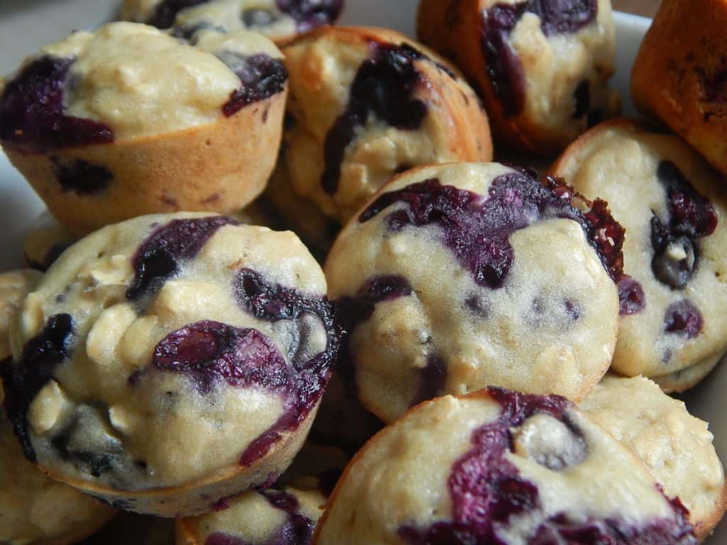 mini blueberry muffins 