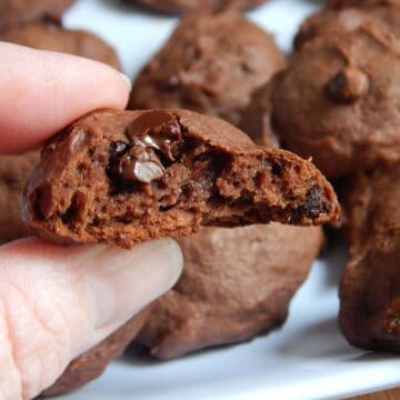 Double Chocolate Peanut Butter Cookies