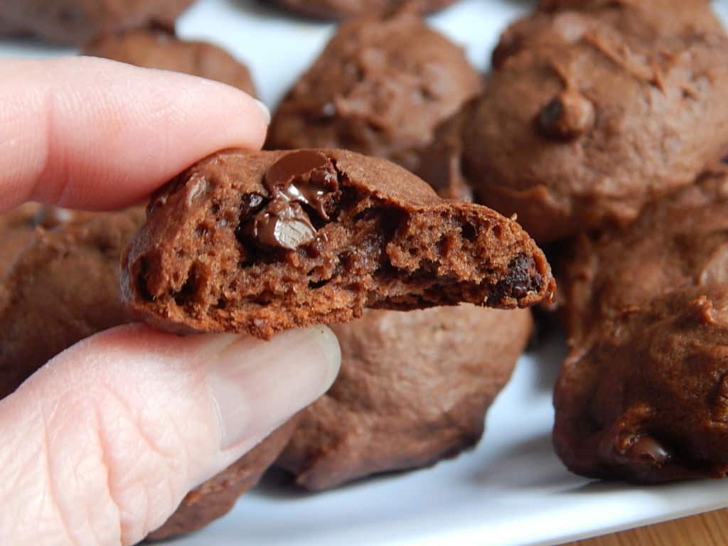 Double Chocolate Peanut Butter Cookies