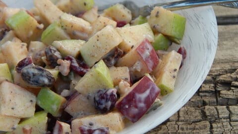 weight watchers friendly Apple Yogurt Salad