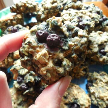 Blueberry Oatmeal Breakfast Cookies