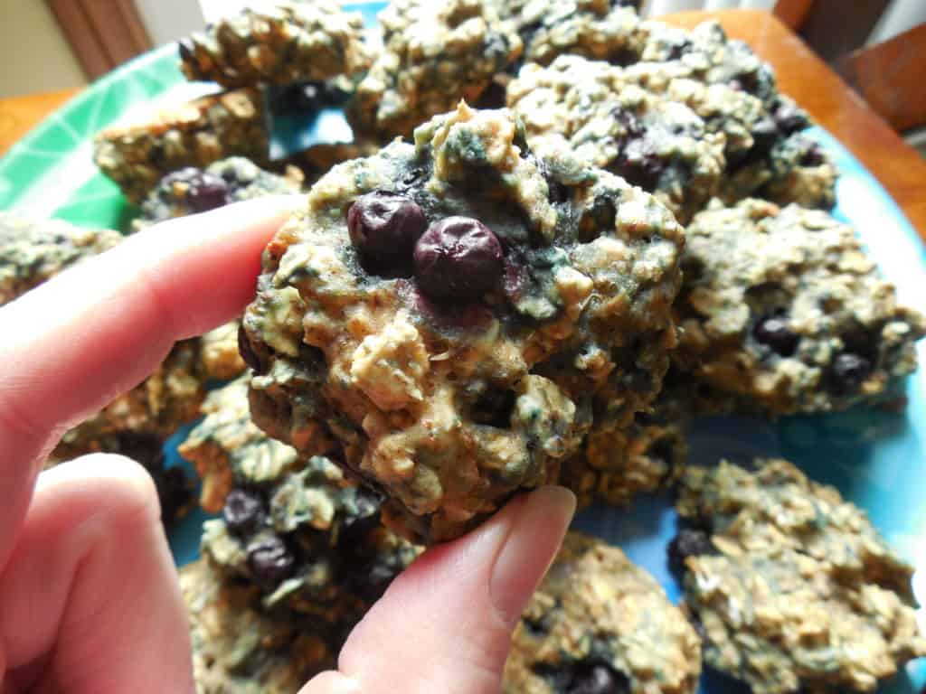 Blueberry Oatmeal Breakfast Cookies