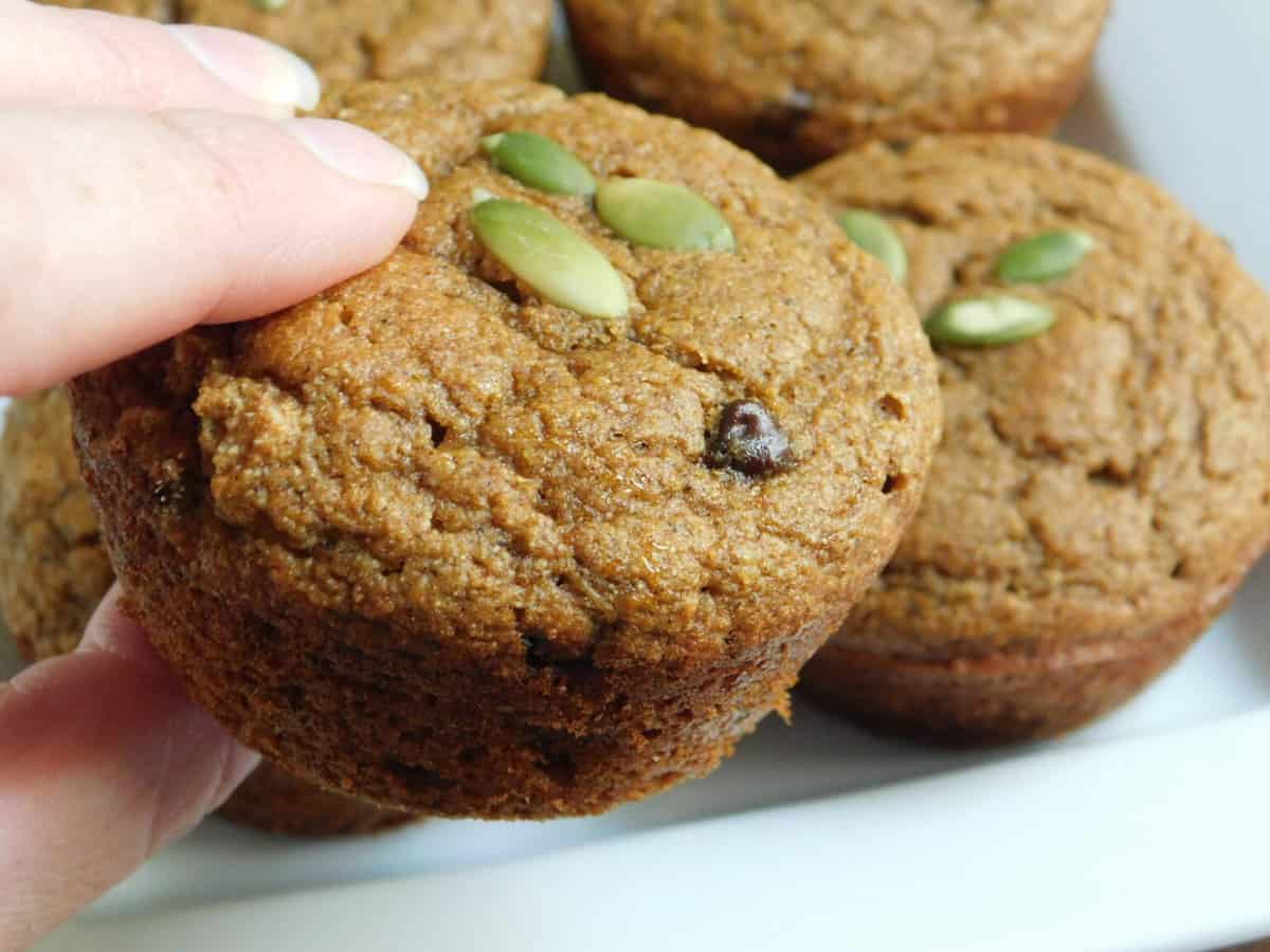 Kodiak cakes pumpkin spice chocolate chip muffins Drizzle Me Skinny!