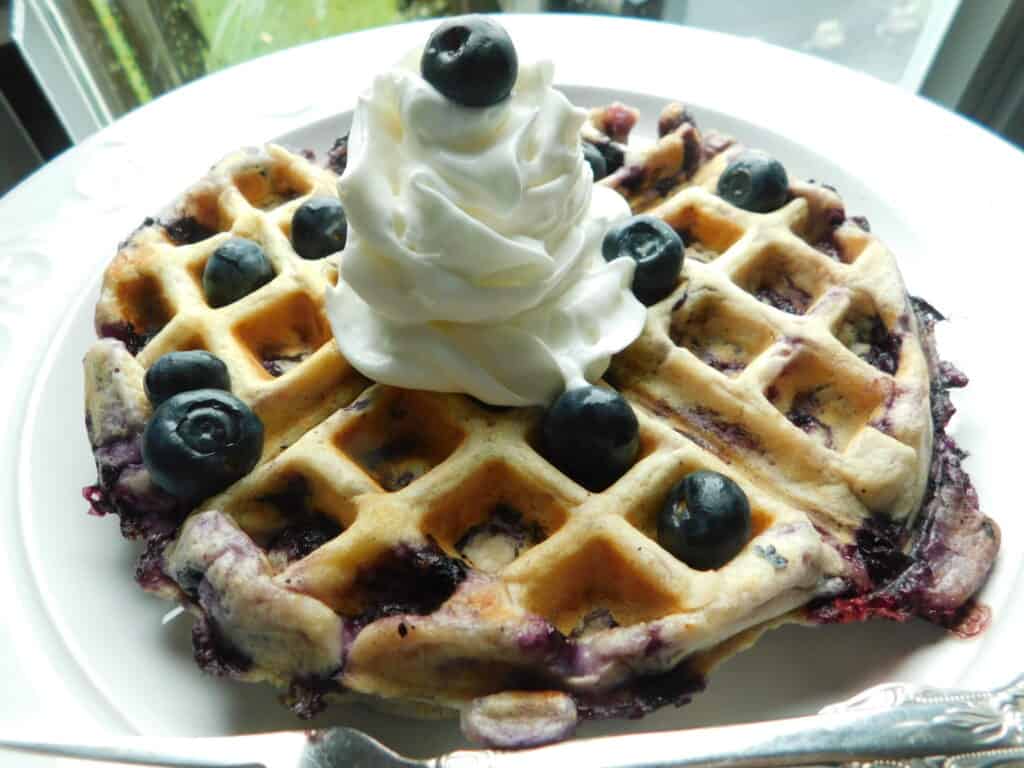 Blueberry Lemon Waffles Drizzle Me Skinny!