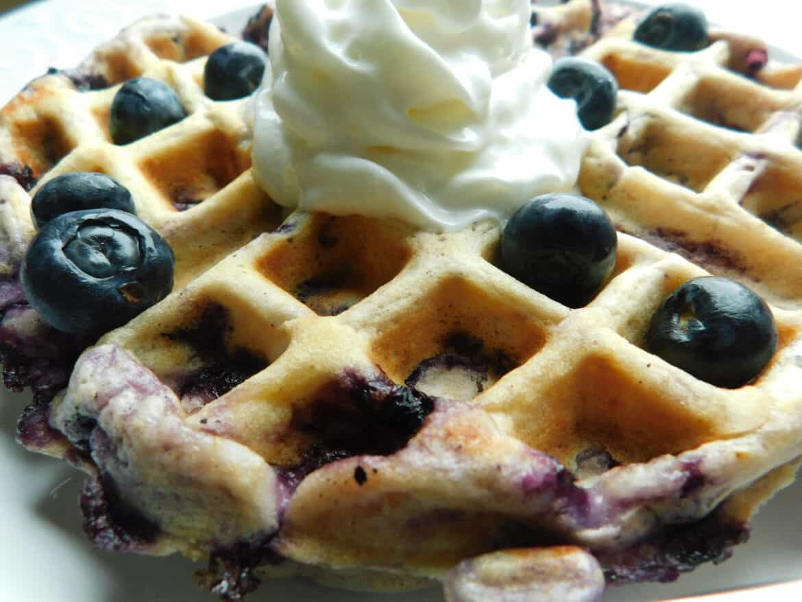 Blueberry Lemon Waffles Drizzle Me Skinny!