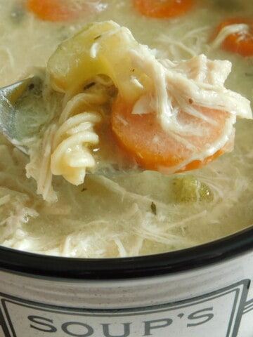 Weight Watchers Chicken Noodle Soup