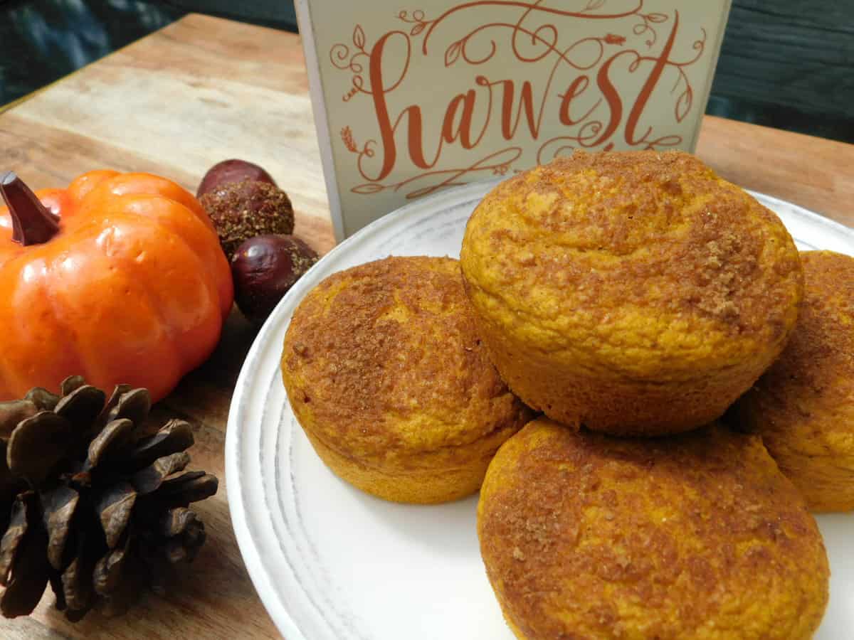 Kodiak Pumpkin Muffins