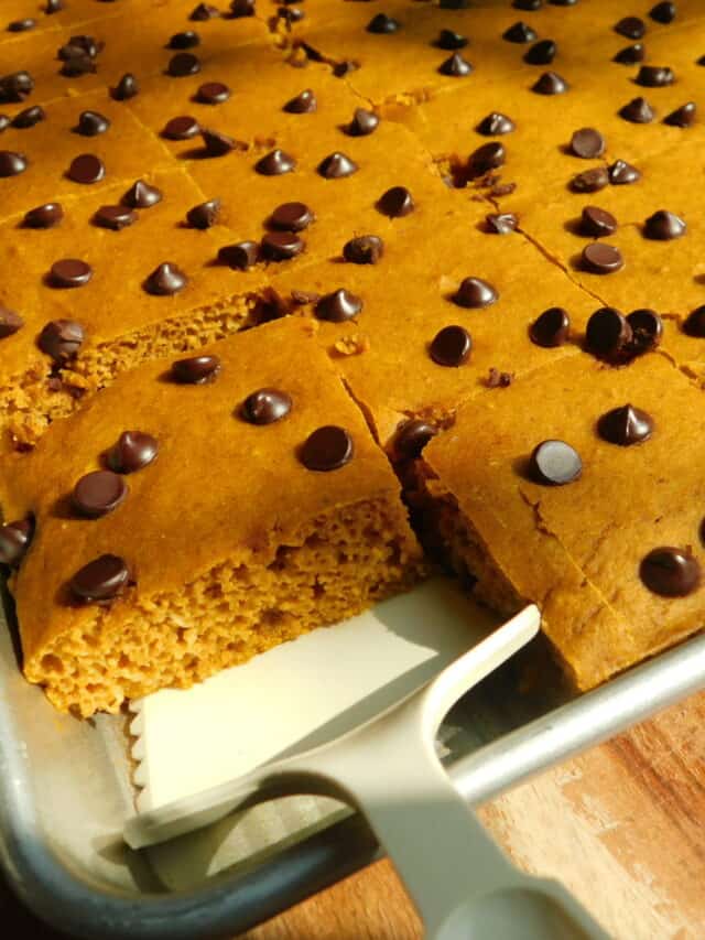 weight watchers friendly sheet pan chocolate chip pumpkin