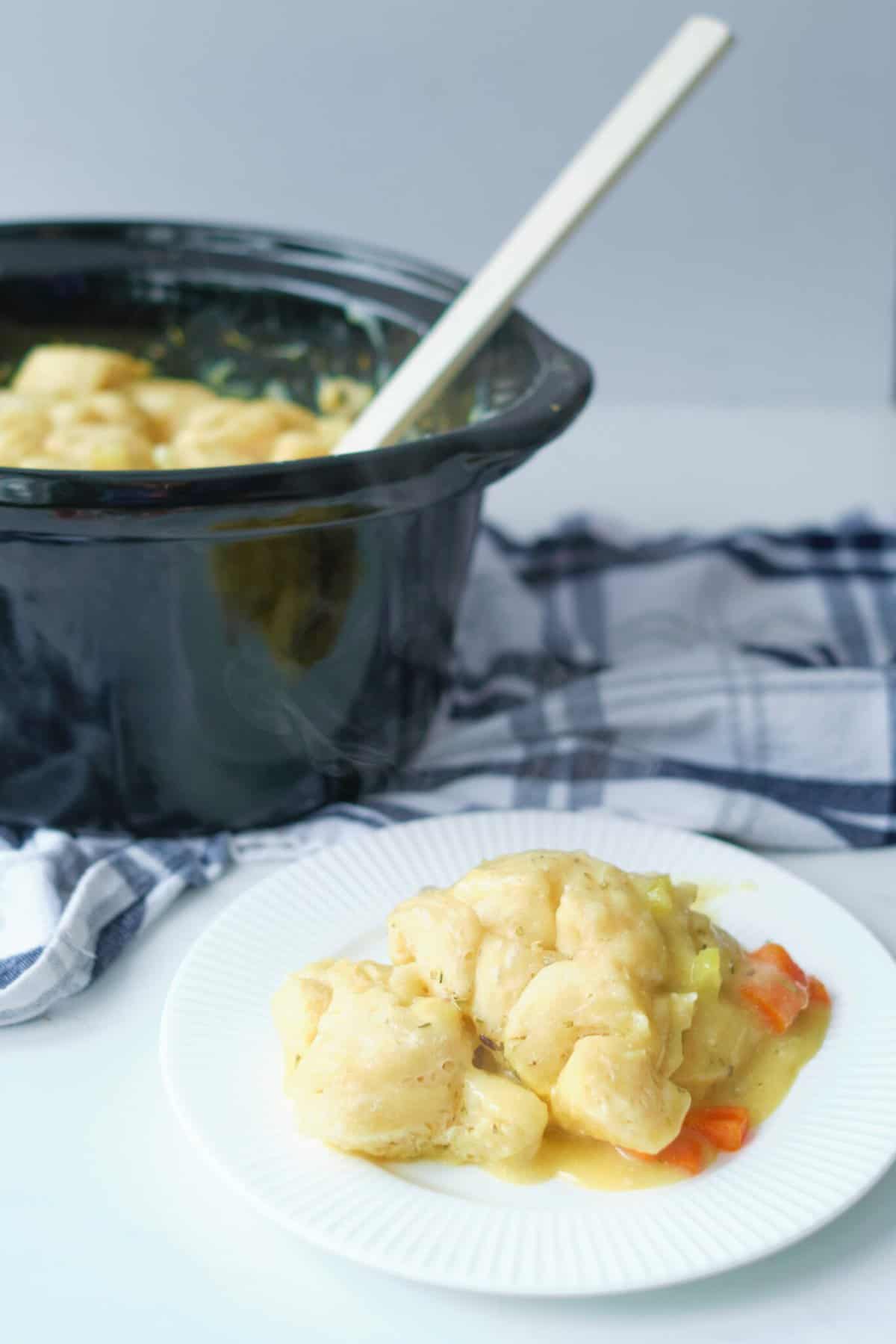 Chicken and Dumplings in pot