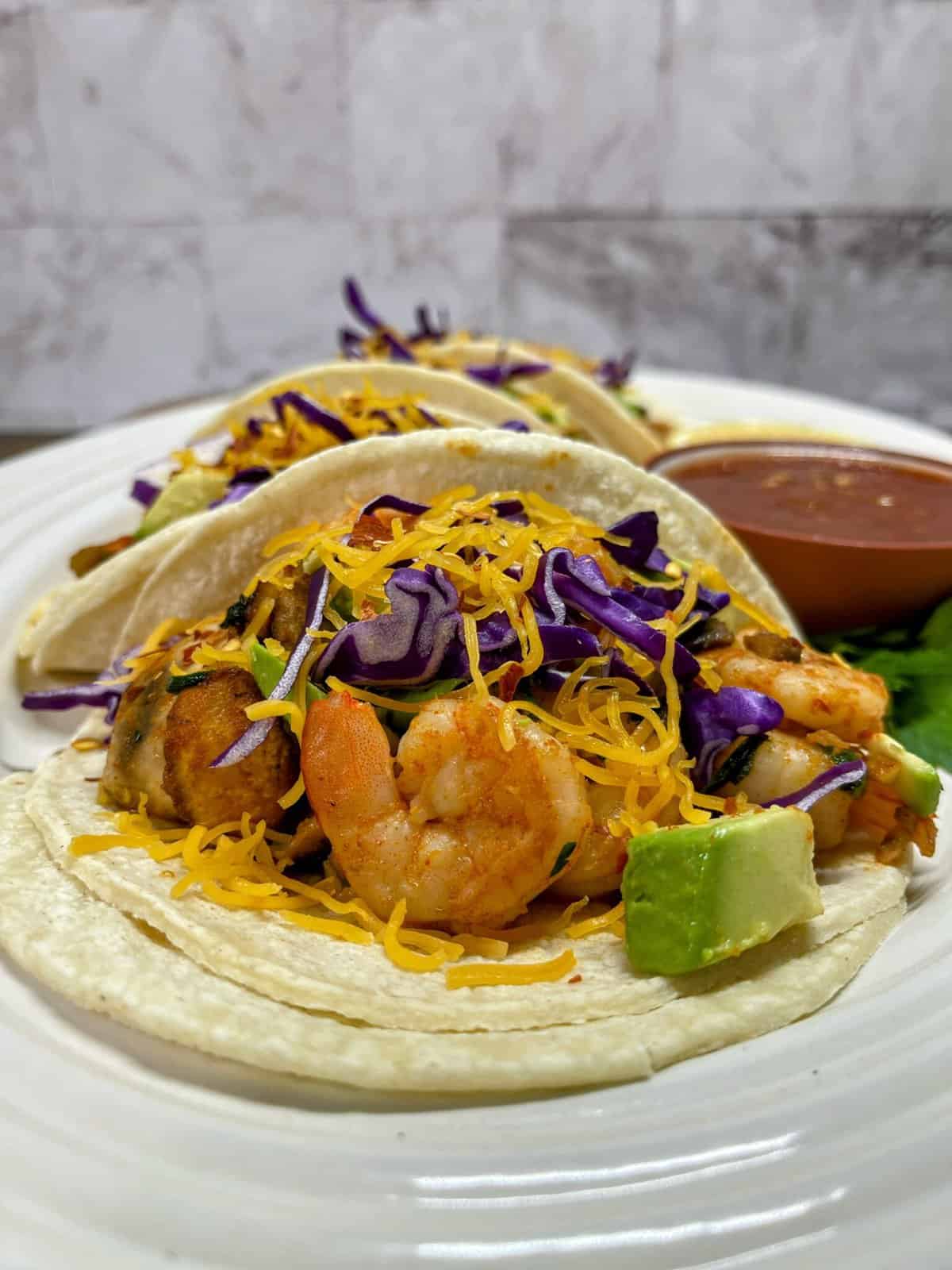 chipotle shrimp taco close up