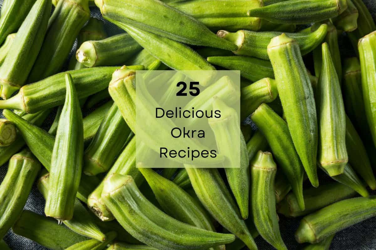 25 Best Okra Recipes to Impress Your Friends This Summer Drizzle Me