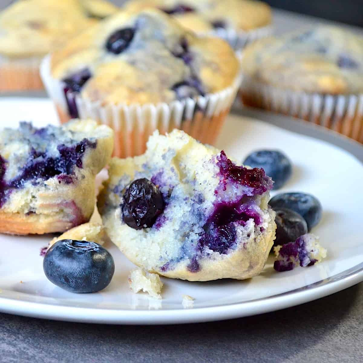 Blueberry muffins on a white plate