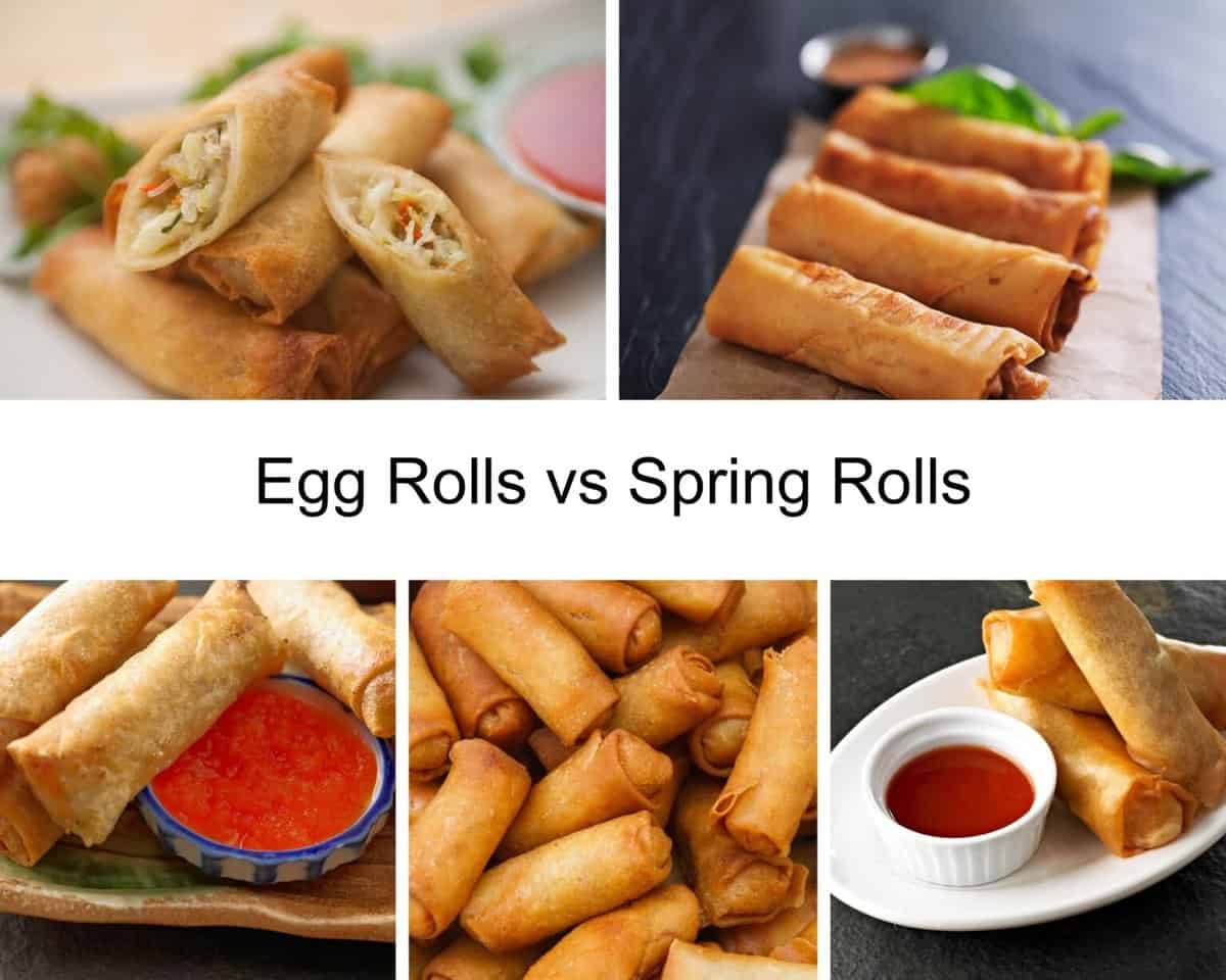 Spring Roll vs Egg Roll Drizzle Me Skinny!