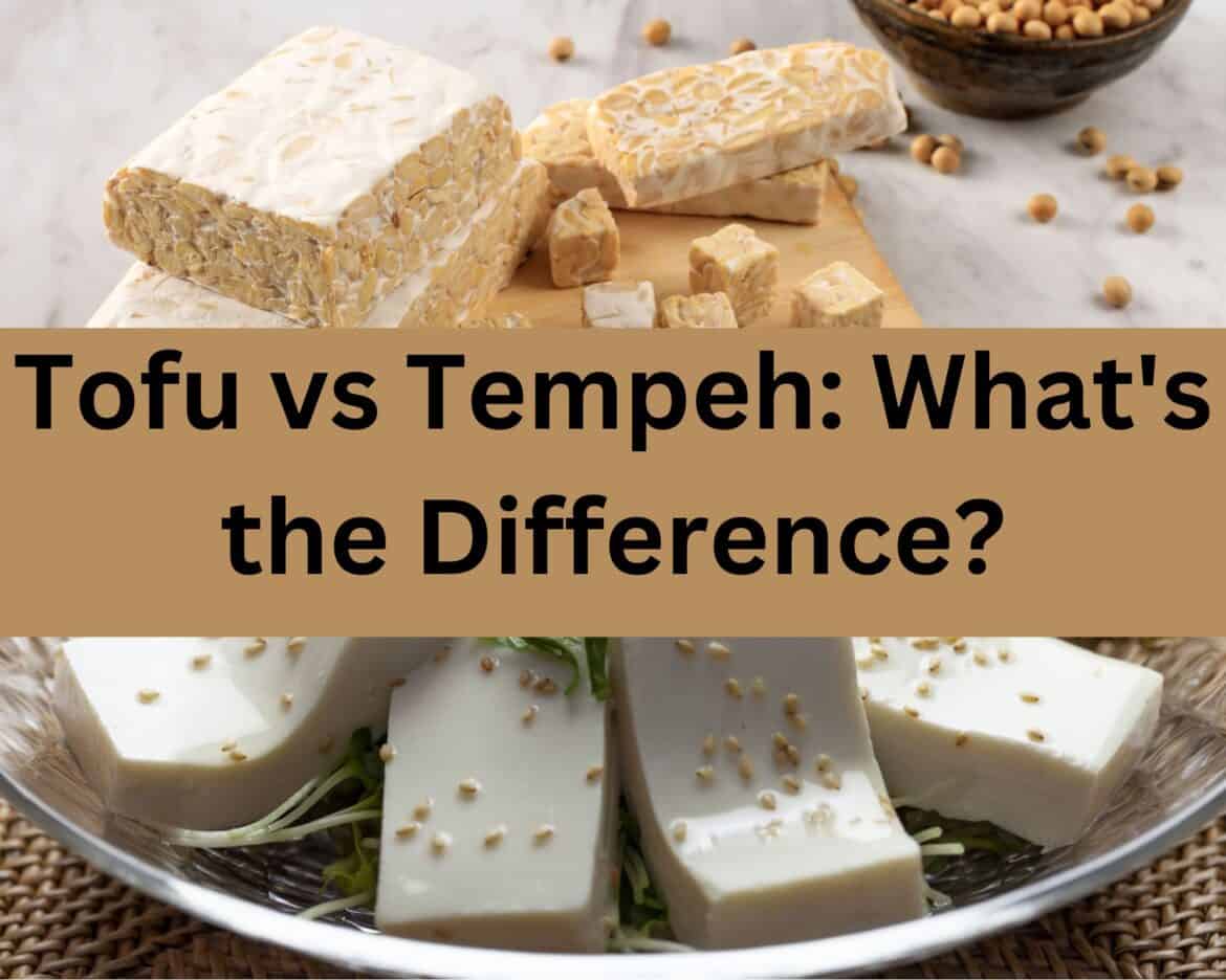 Tofu vs Tempeh What's the Difference? Drizzle Me Skinny!