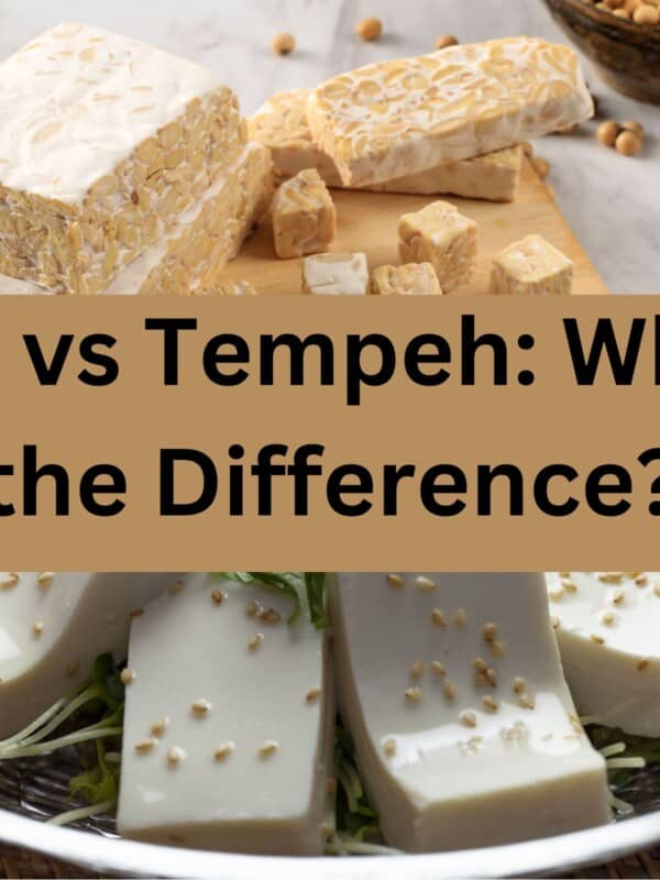 tofu next to tempeh