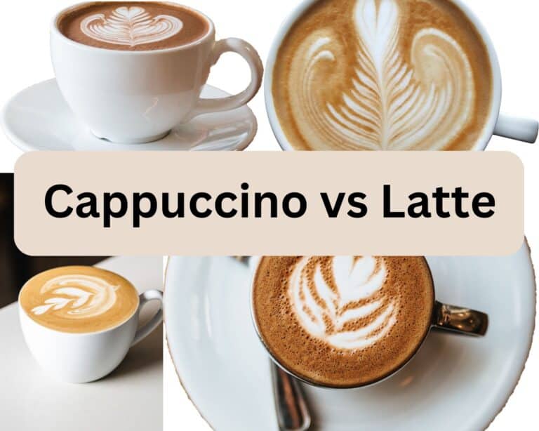 Cappuccino vs Latte Key Differences Drizzle Me Skinny!