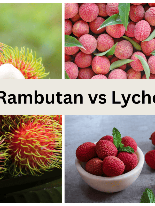 rambutan next to lychee