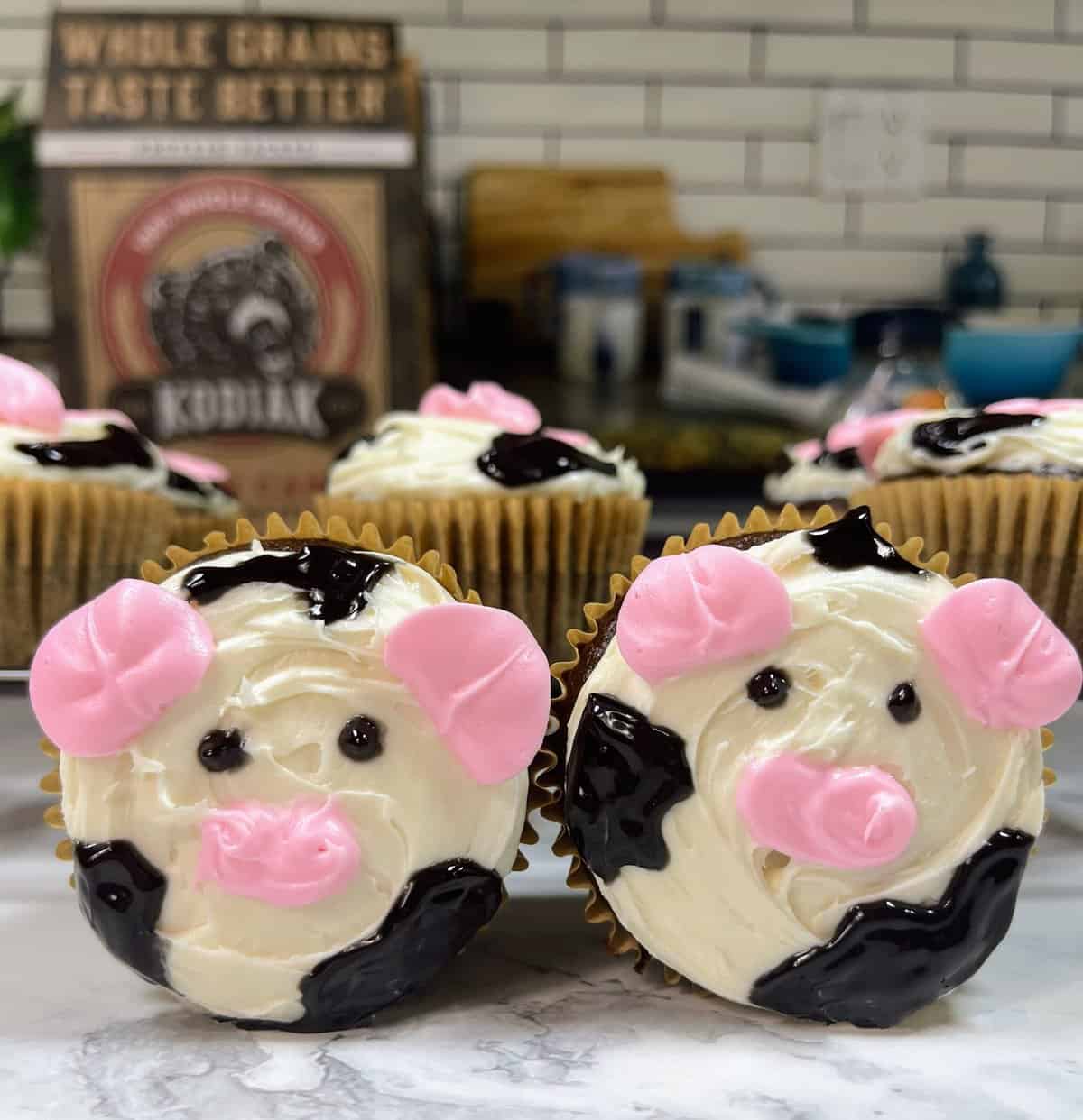 cow cupcakes on counter with kodiak box in background