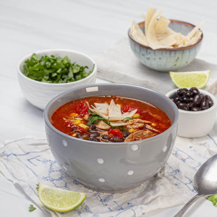 Quick Weight Watchers Chicken Tortilla Soup Drizzle Me Skinny!