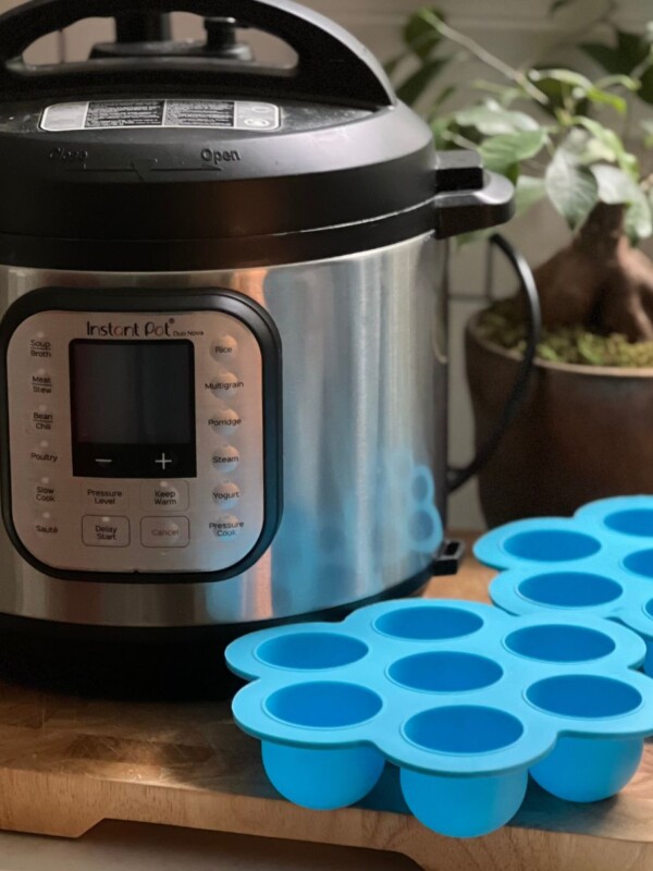 Instant Pot sitting next to blue silicone molds