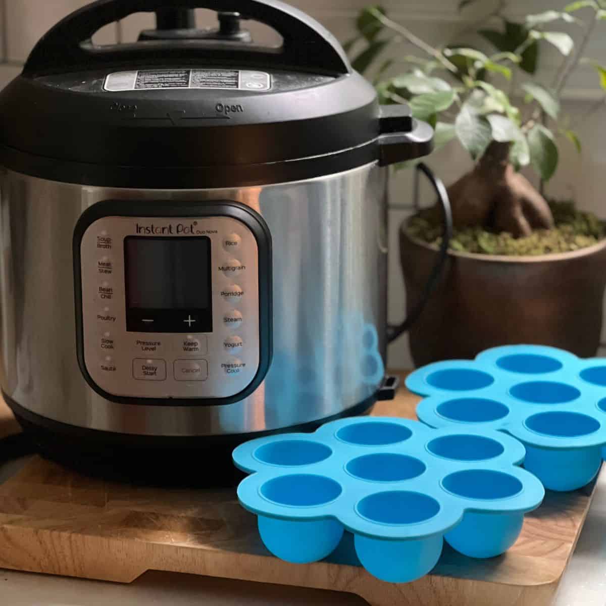Instant Pot sitting next to blue silicone molds