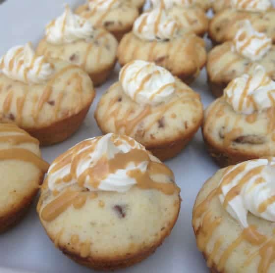 Mini peanut butter cupcakes with peanut butter drizzle