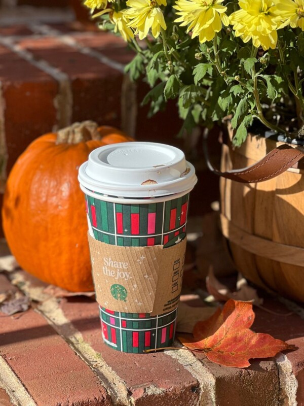 starbucks cup sitting on brick steps next to yellow mums and orang e pumpkin