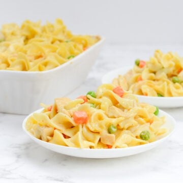 Two white plates of chicken noodle casserole