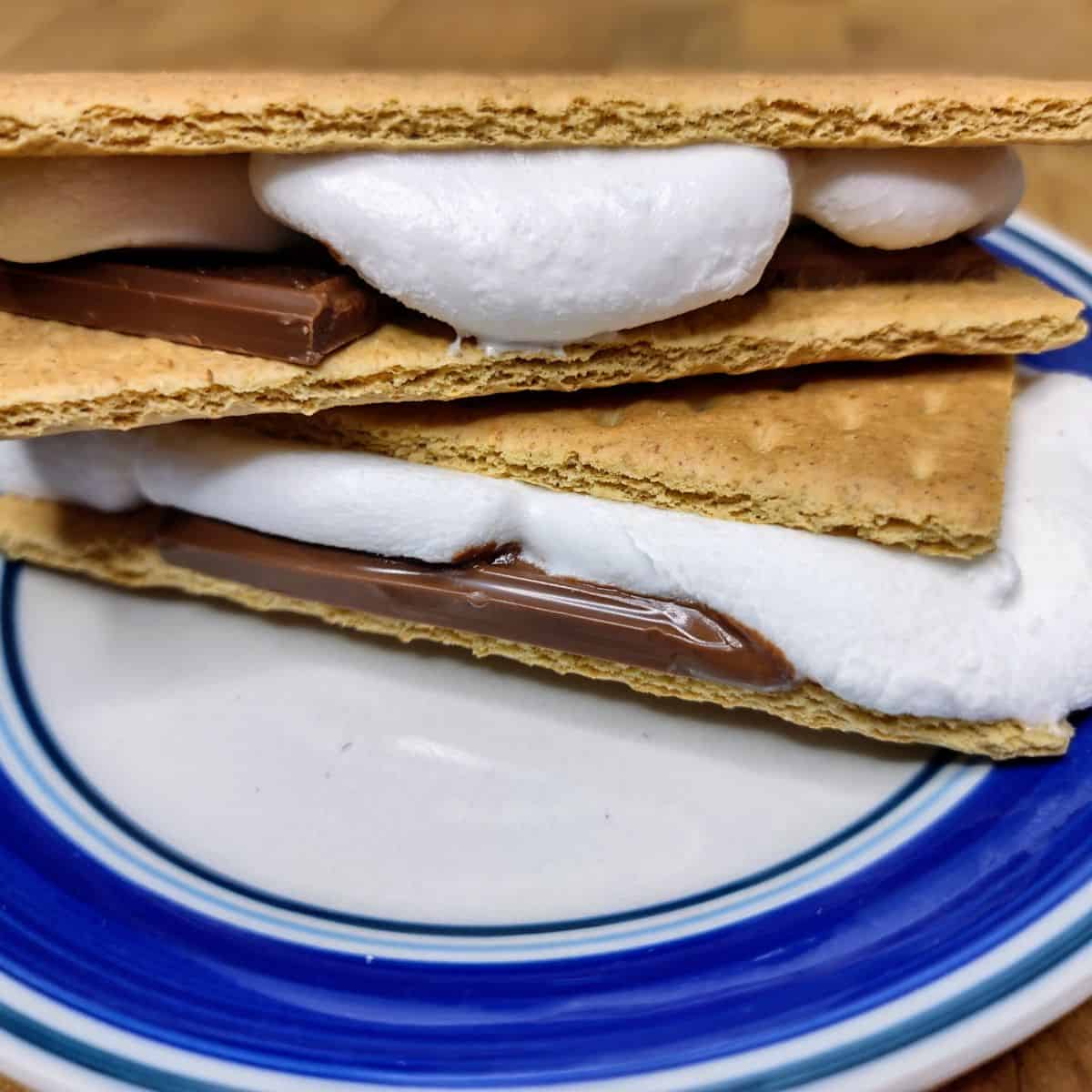Microwave S'mores on a plate.