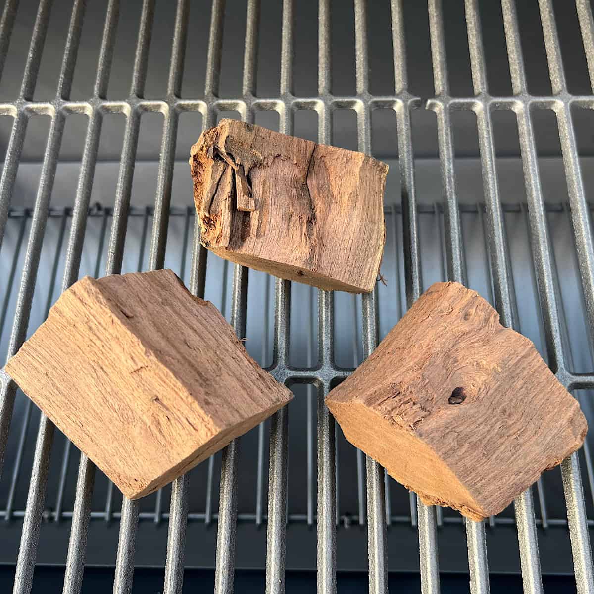 wood chunks sitting on grill
