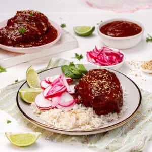 Weight Watchers-friendly Chicken mole served with rice, fresh radish, and lime wedges on a plate.