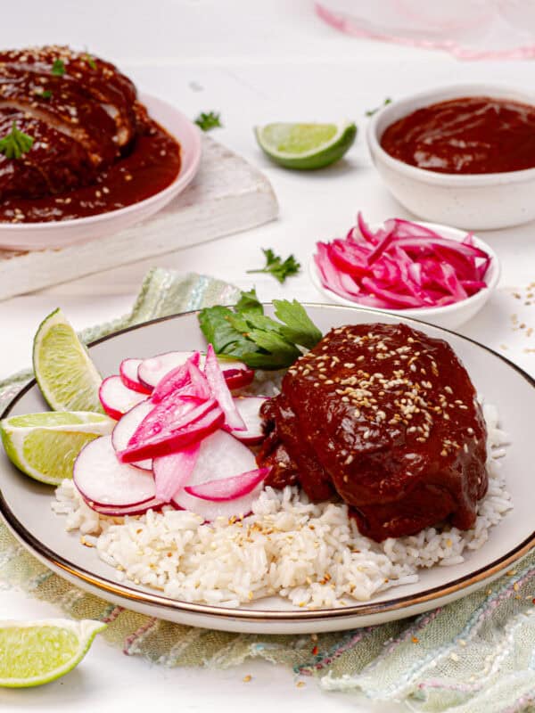 Weight Watchers-friendly Chicken mole served with rice, fresh radish, and lime wedges on a plate.