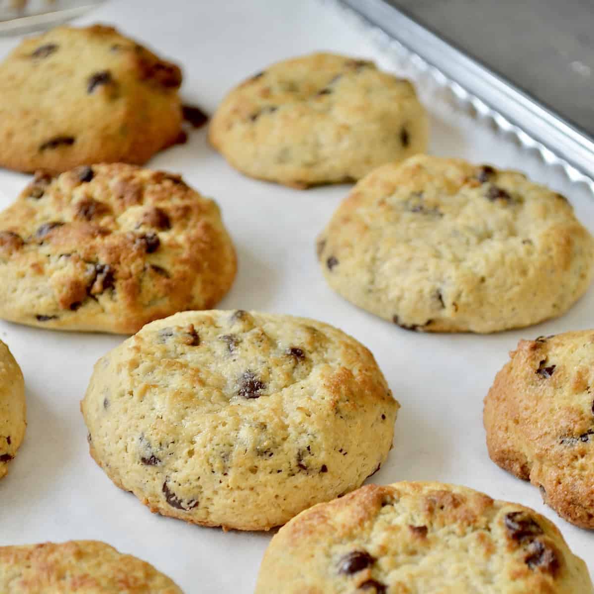 Baked golden brown chocolate chip cookies
