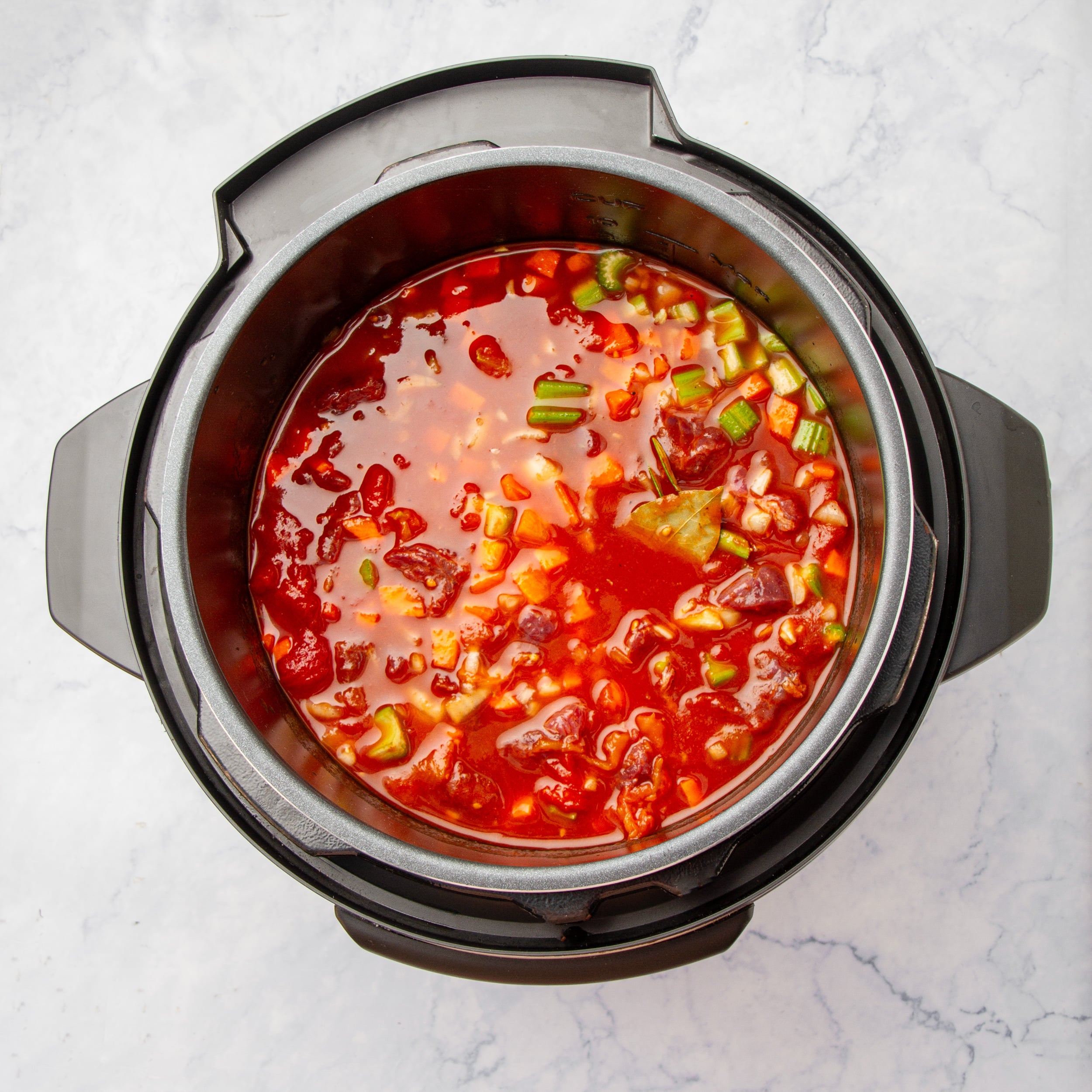Cooke Instant Pot Beef Ragu stew in the pot. 